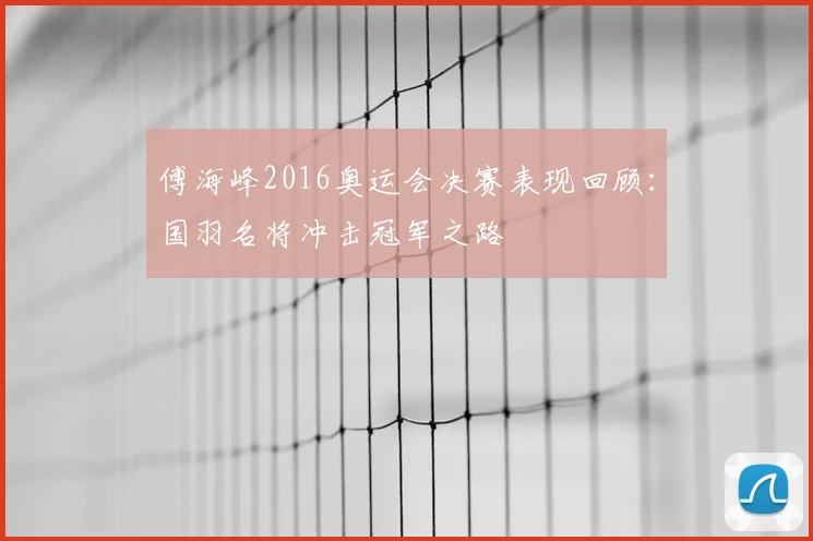 傅海峰2016奥运会决赛表现回顾:国羽名将冲击冠军之路