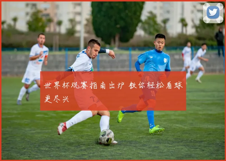 世界杯观赛指南出炉 教你轻松看球更尽兴