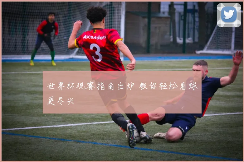 世界杯观赛指南出炉 教你轻松看球更尽兴