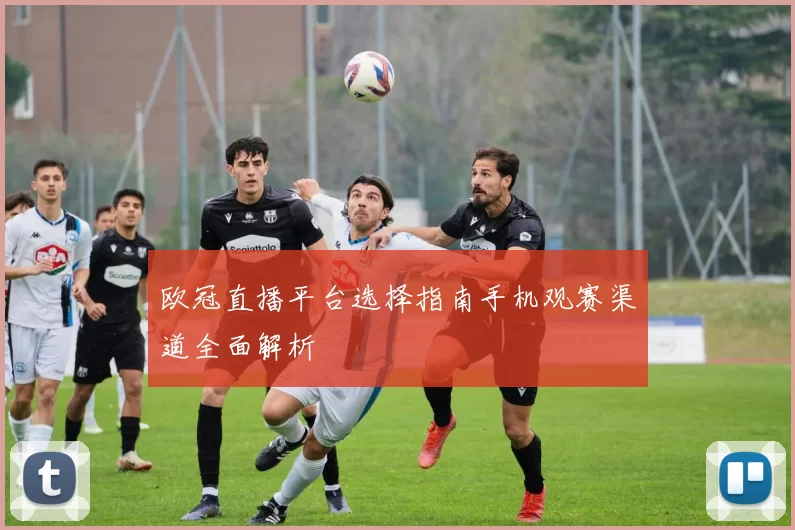 欧冠直播平台选择指南手机观赛渠道全面解析