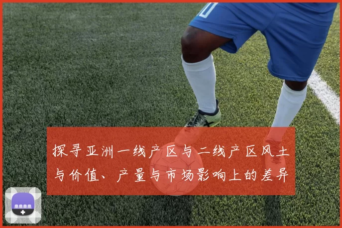 探寻亚洲一线产区与二线产区风土与价值、产量与市场影响上的差异