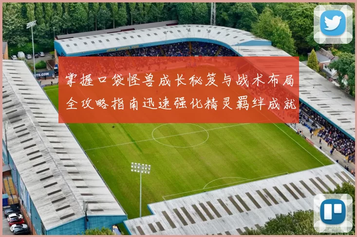 掌握口袋怪兽成长秘笈与战术布局全攻略指南迅速强化精灵羁绊成就