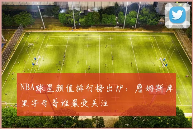 NBA球星颜值排行榜出炉，詹姆斯库里字母哥谁最受关注