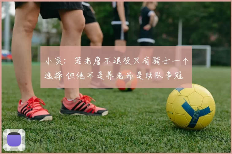 小莫:若老詹不退役只有骑士一个选择 但他不是养老而是助队争冠